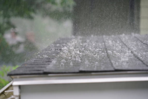 Best Roof Coating and Sealing  in Green, OH